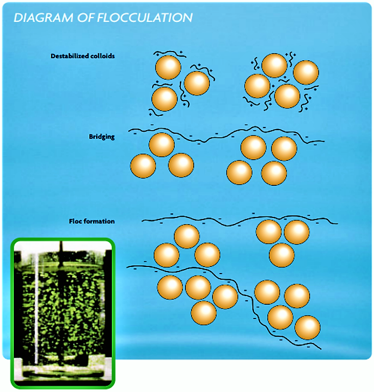 coagulation flocculation